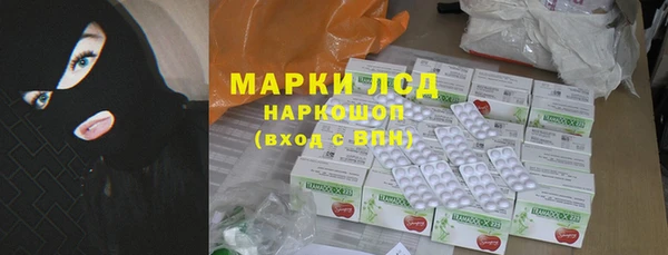 индика Ветлуга