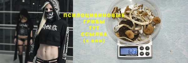 соль ск Остров