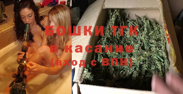 твердый Осинники
