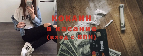 твердый Осинники