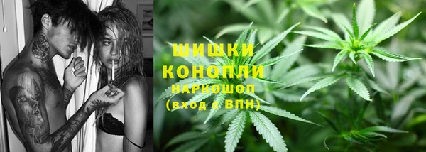 твердый Осинники
